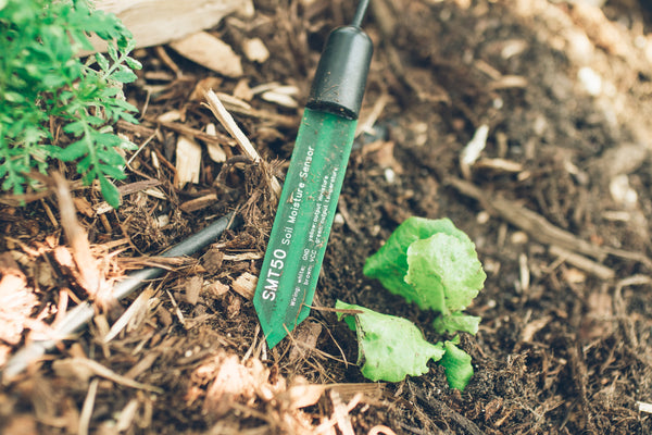 Farmer's Hive Earth Sensor (AGT150-M) (Sensor & Subscription Bundle)